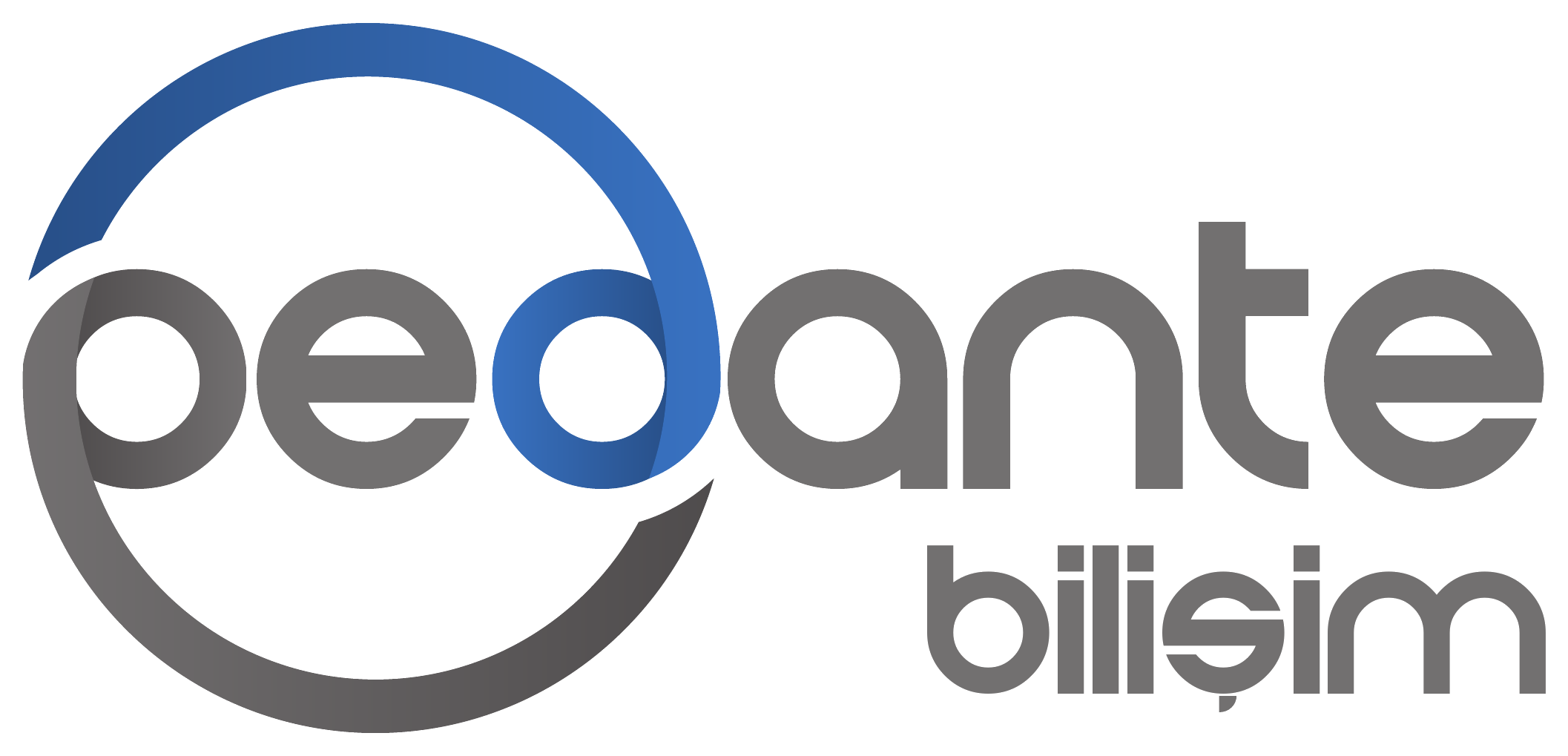 Pedante Bilişim