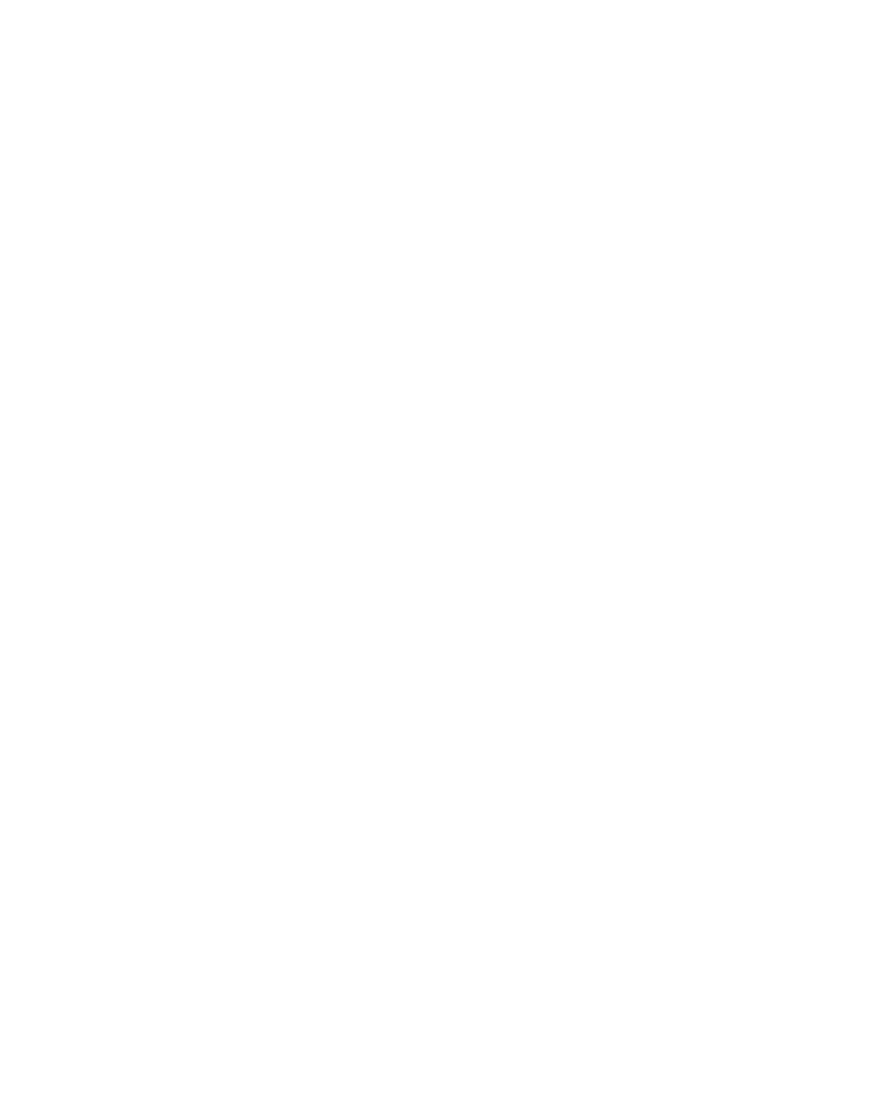 Racoun branding solutions